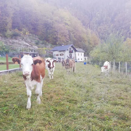 Loki - Villaggio Dei Crodini Chalet